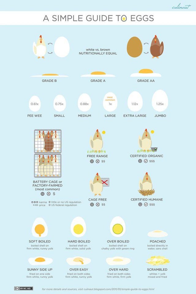 different egg styles - culinaut A Simple Guide To Eggs white vs. brown Nutritionally Equal Grade B Grade A Grade Aa con 0.61% 0.75x 0.88x 112x 1.25x Pee Wee Small Medium Large Extra Large Jumbo Free Range $$ WiW Certified Organic sss Battery Cage or Facto