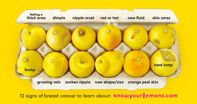 know your lemons - feeling a thick area dimple nipple crust red or hot new fluid skin sores hard lump bump growing vein sunken nipple new shapesize orange peel skin 12 signs of breast cancer to learn about knowyourlemons.com