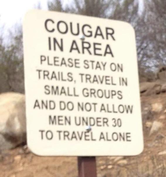 sign - Cougar In Area Please Stay On Trails, Travel In Small Groups And Do Not Allow Men Under 30 To Travel Alone