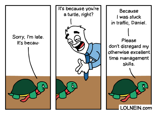 business turtle - It's because you're a turtle, right? Because I was stuck in traffic, Daniel. Sorry, I'm late. It's becau Please don't disregard my otherwise excellent time management skills. Lolnein.com