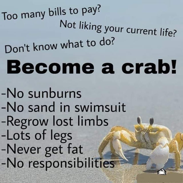 Fresh Crab - Too many bills to pay? Not liking your current life? Don't know what to do? Become a crab! No sunburns No sand in swimsuit Regrow lost limbs Lots of legs Never get fat No responsibilities