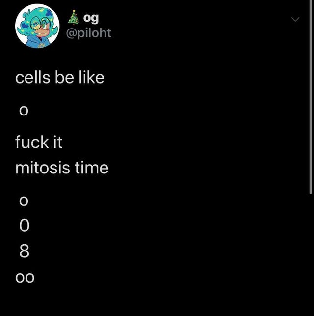 screenshot - og cells be fuck it mitosis time ooo