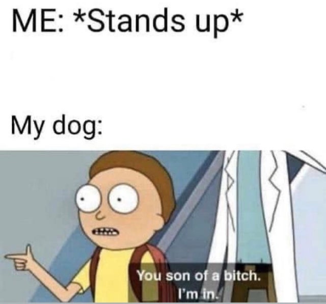 Rick and Morty - Me Stands up My dog You son of a bitch. I'm in