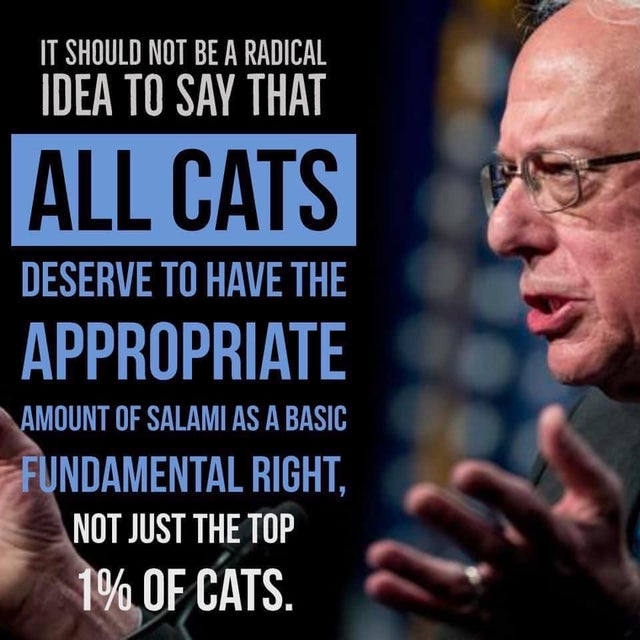 design week - ' It Should Not Be A Radical Idea To Say That All Cats Deserve To Have The Appropriate Amount Of Salami As A Basic Fundamental Right. Not Just The Top 1% Of Cats.