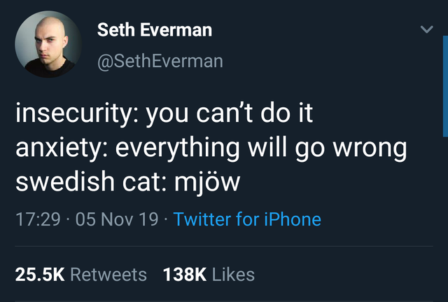 presentation - Seth Everman insecurity you can't do it anxiety everything will go wrong swedish cat mjw 05 Nov 19 Twitter for iPhone