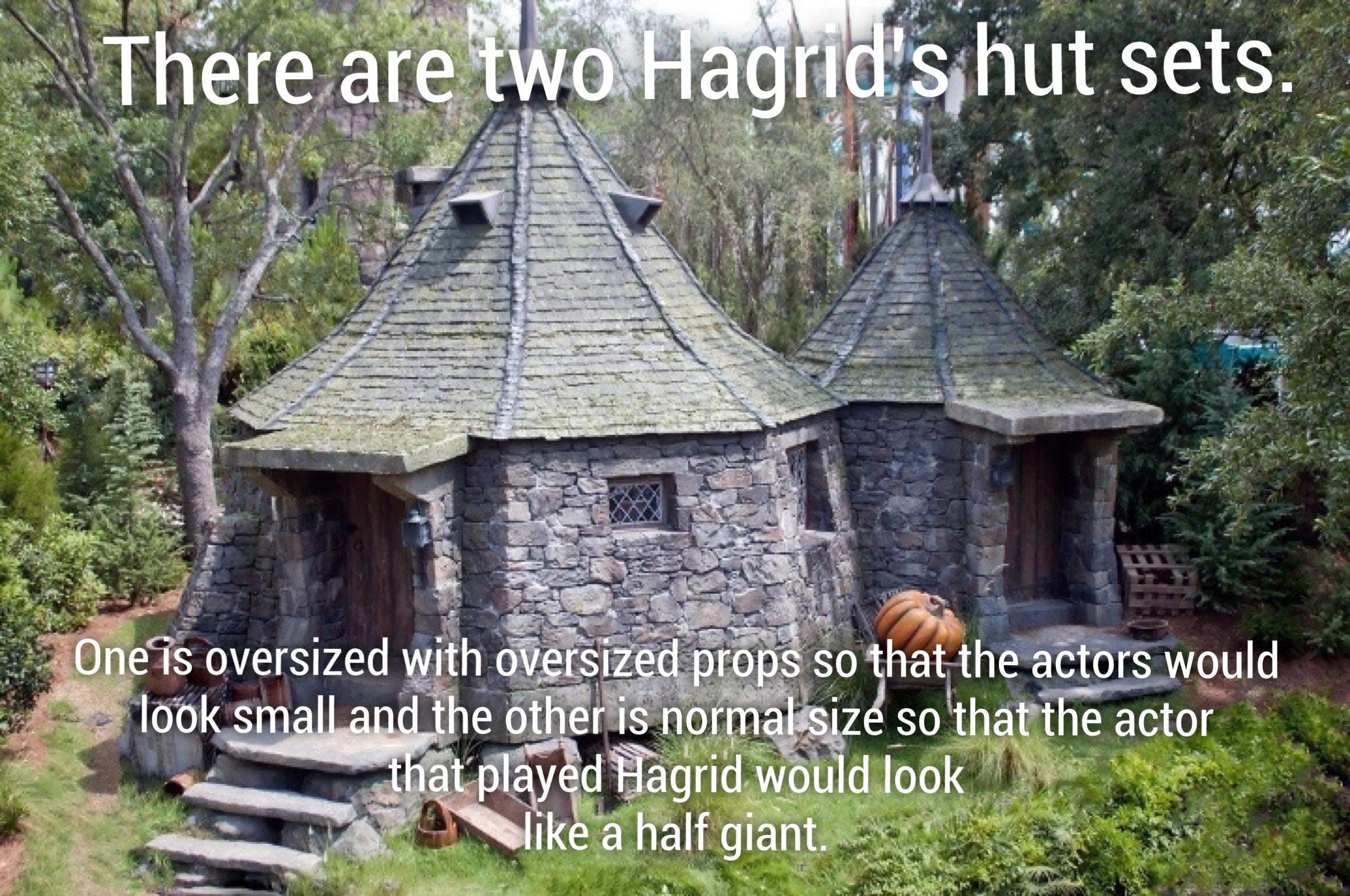 hagrid's hut - There are two Hagrid's hut sets. One is oversized with oversized props so that the actors would look small and the other is normal size so that the actor that played Hagrid would look a half giant. look small and folaved Hag