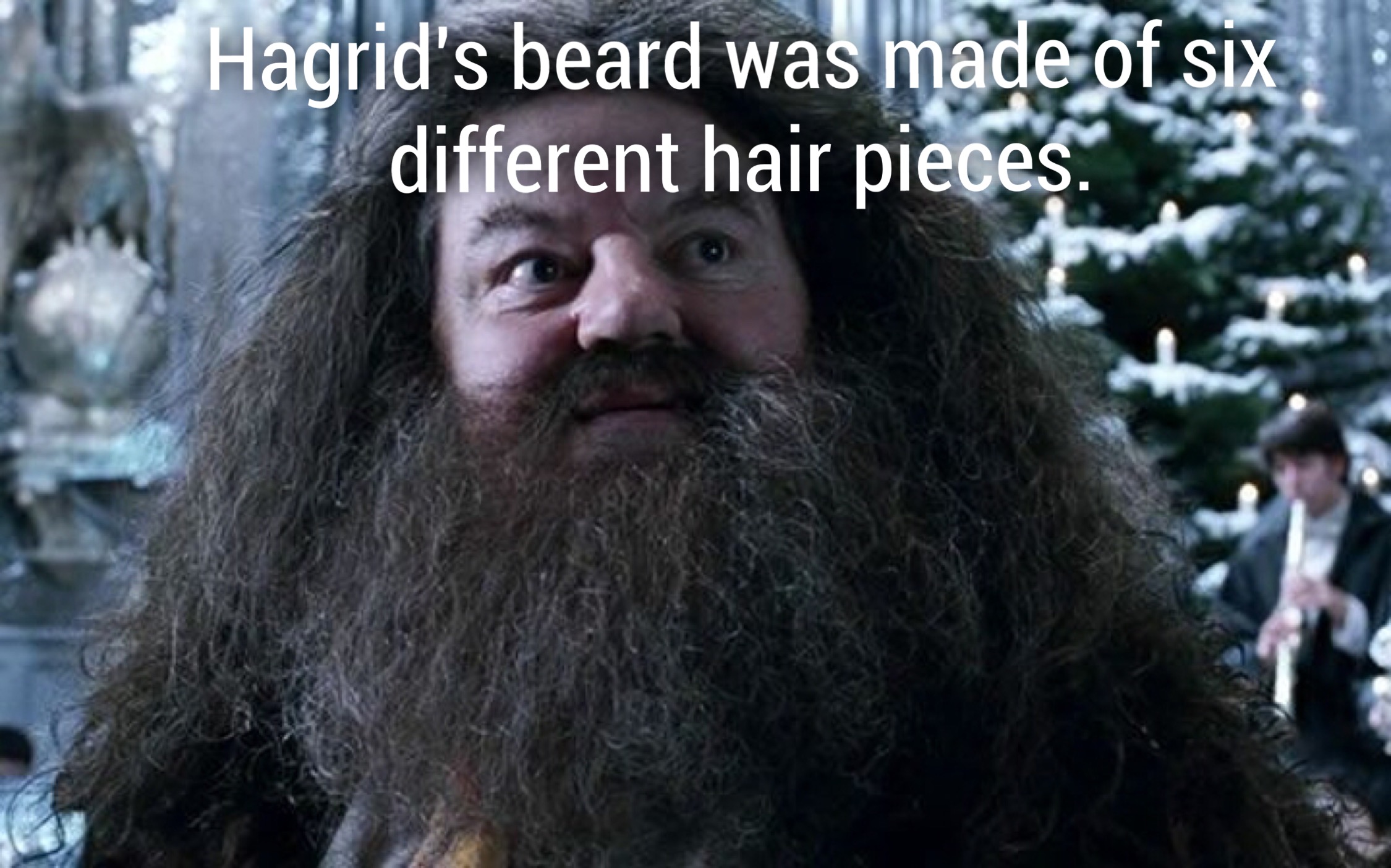 hagrid harry potter - Hagrid's beard was made of six different hair pieces.