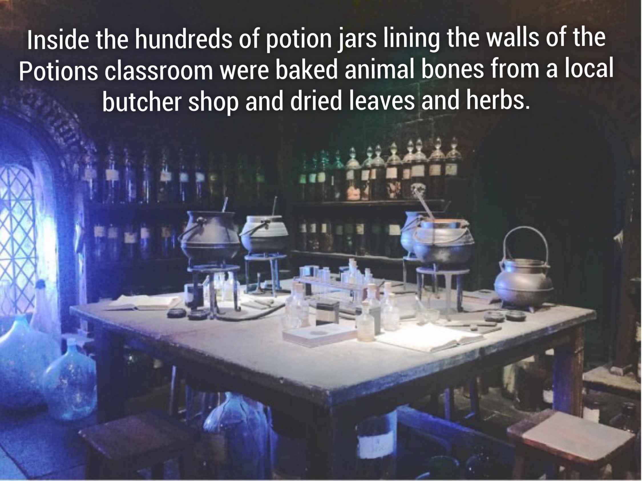 interior design - Inside the hundreds of potion jars lining the walls of the Potions classroom were baked animal bones from a local butcher shop and dried leaves and herbs.