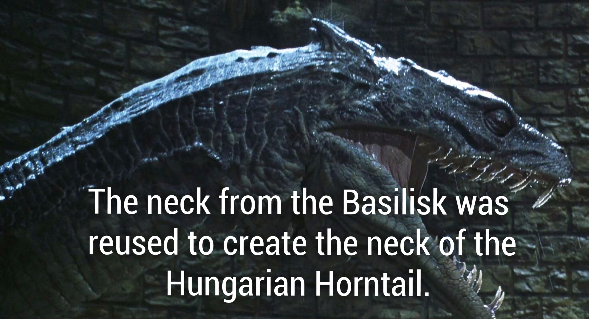 harry potter and the chamber of secrets basilisk - The neck from the Basilisk was reused to create the neck of the Hungarian Horntail.