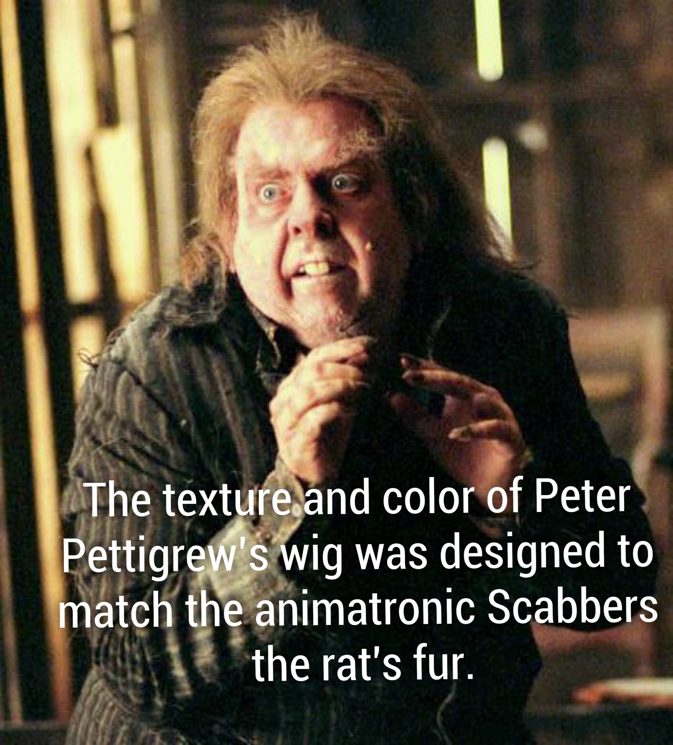 peter pettigrew harry potter - The texture and color of Peter Pettigrew's wig was designed to match the animatronic Scabbers the rat's fur.