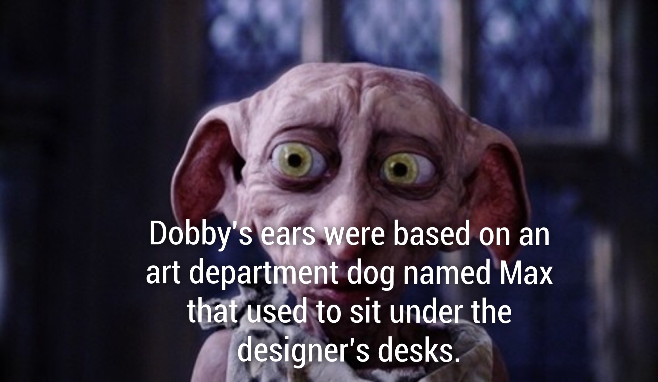 toby from harry potter - Dobby's ears were based on an art department dog named Max that used to sit under the designer's desks.