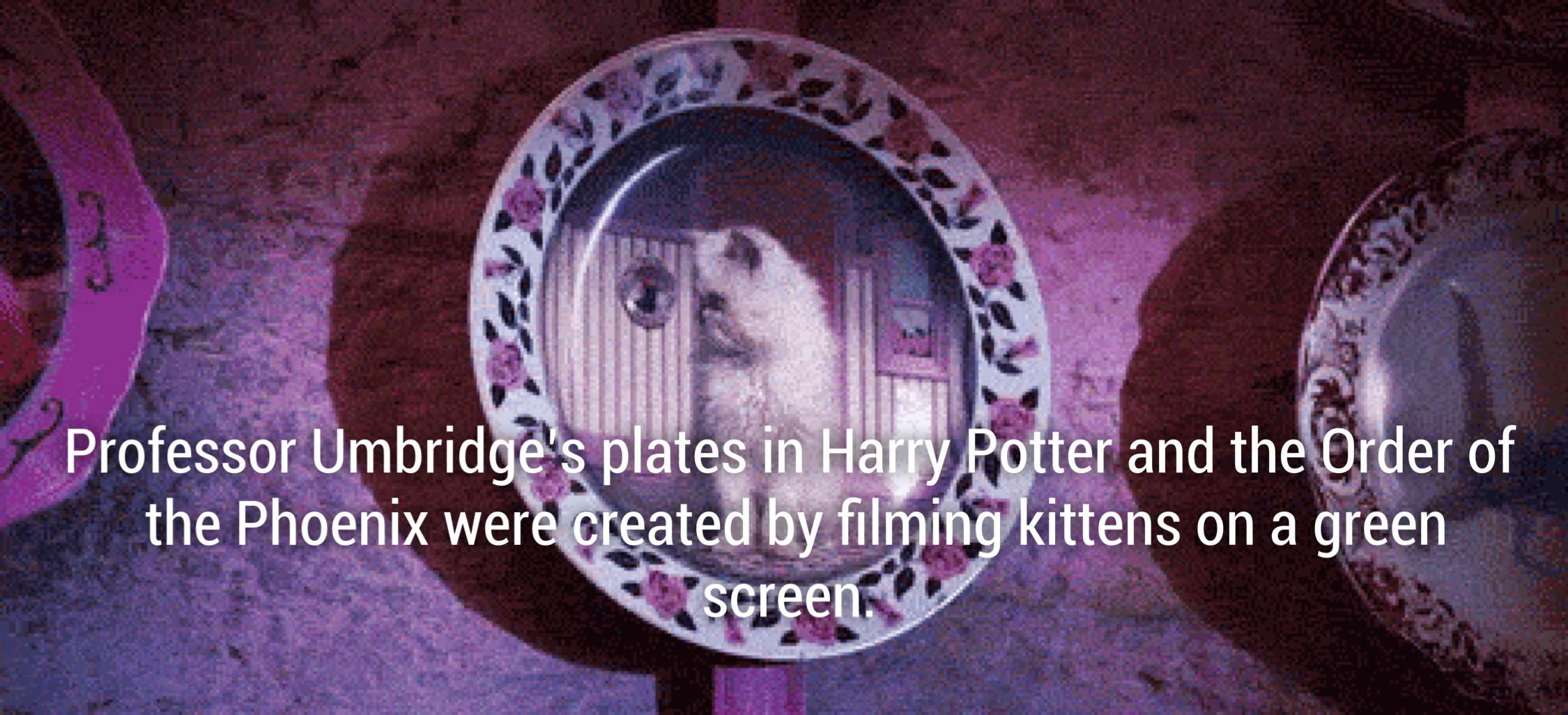 harry potter kitten gif - C. Professor Umbridge's plates in Harry Potter and the Order of the Phoenix were created by filming kittens on a green screen.