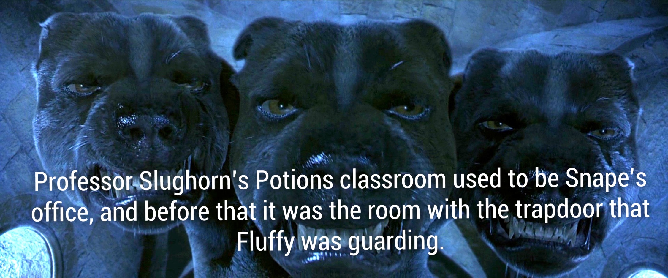Professor Slughorn's Potions classroom used to be Snape's office, and before that it was the room with the trapdoor that Fluffy was guarding.