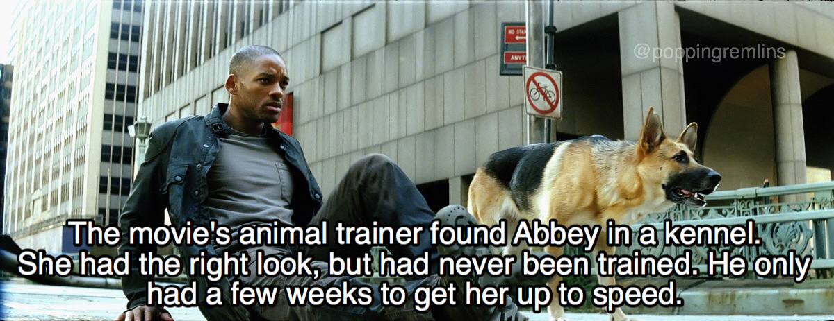 20 Facts About I Am Legend That Might Get You Infected