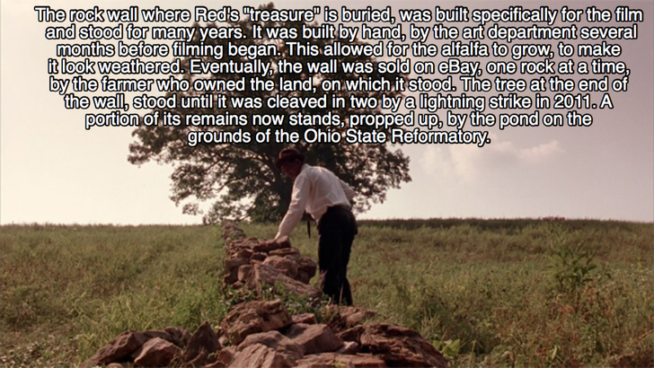 25 Intriguing Facts About The Shawshank Redemption