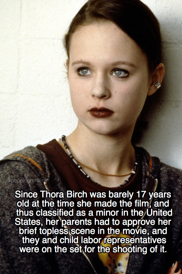 18 Interesting Facts About American Beauty