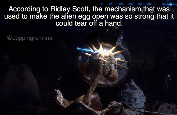 alien facts - According to Ridley Scott, the mechanism that was used to make the alien egg open was so strong that it could tear off a hand.