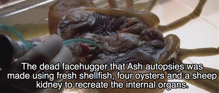 кино чужой - The dead facehugger that Ash autopsies was made using fresh shellfish, four oysters and a sheep kidney to recreate the internal organs.