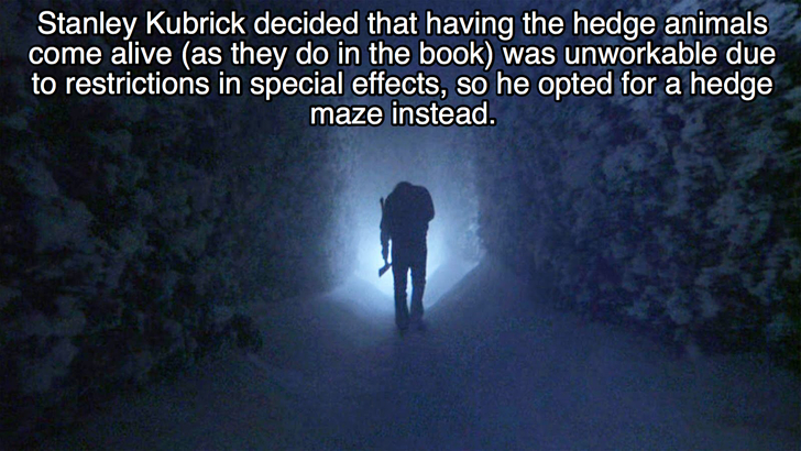 27 Facts About One Of The Greatest Horror Films Of All Time; The Shining