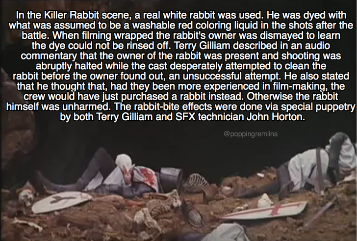 chignahuapan - In the Killer Rabbit scene, a real white rabbit was used. He was dyed with what was assumed to be a washable red coloring liquid in the shots after the battle. When filming wrapped the rabbit's owner was dismayed to learn the dye could not 