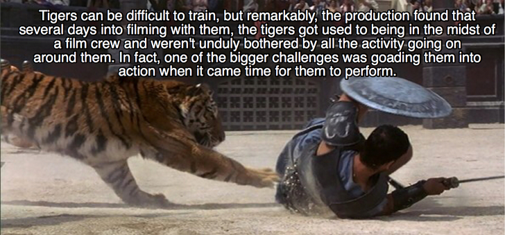 23 Epic Facts About Gladiator