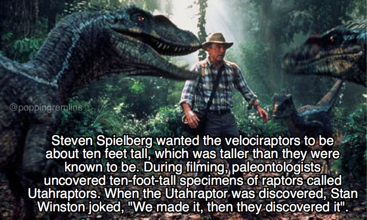 jurassic park 3 - Steven Spielberg wanted the velociraptors to be about ten feet tall, which was taller than they were known to be. During filming, paleontologists uncovered tenfoottall specimens of raptors called Utahraptors. When the Utahraptor was disc