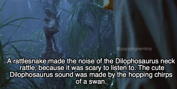 jurassic park dilophosaurus meme - A rattlesnake made the noise of the Dilophosaurus neck rattle, because it was scary to listen to. The cute Dilophosaurus sound was made by the hopping chirps of a swan.