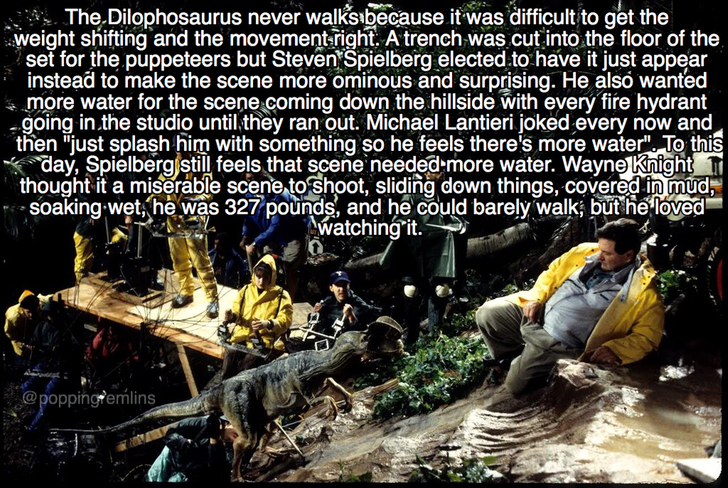 making jurassic park - The.Dilophosaurus never walks because it was difficult to get the weight shifting and the movementright. A trench was cut into the floor of the set for the puppeteers but Steven Spielberg elected to have it just appear instead to ma