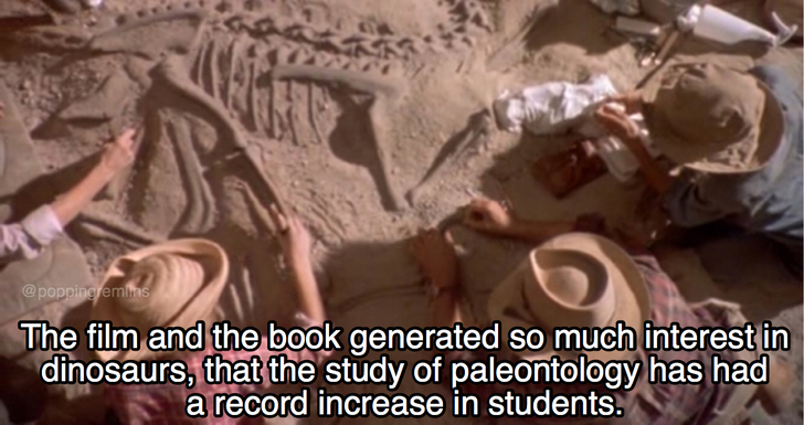 jurassic park excavation - The film and the book generated so much interest in dinosaurs, that the study of paleontology has had a record increase in students.