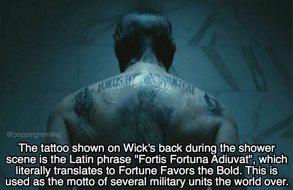 john wick facts - Forie Ir The tattoo shown on Wick's back during the shower scene is the Latin phrase "Fortis Fortuna Adiuvat", which literally translates to Fortune Favors the Bold. This is used as the motto of several military units the world over.