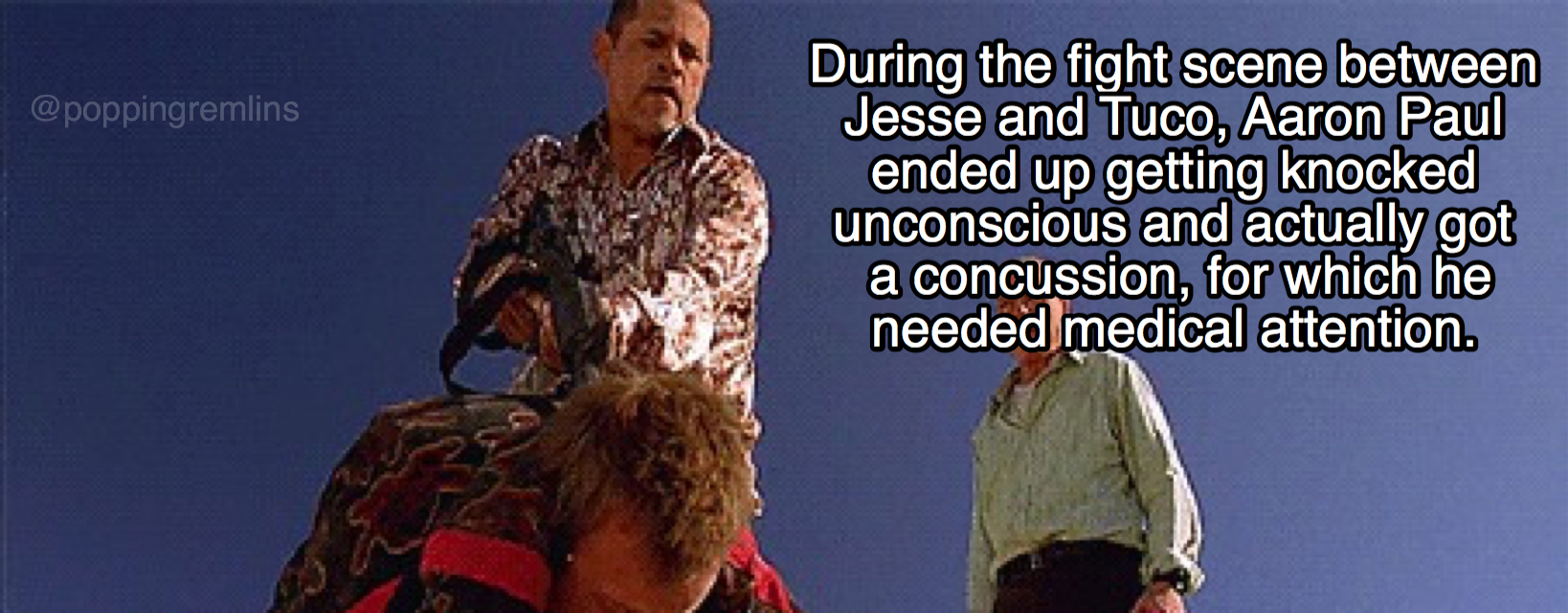 human - During the fight scene between Jesse and Tuco, Aaron Paul ended up getting knocked unconscious and actually got a concussion, for which he needed medical attention.
