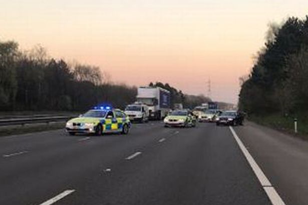 Scene on the M4 near Cardiff where woman was killed trying to get her dog