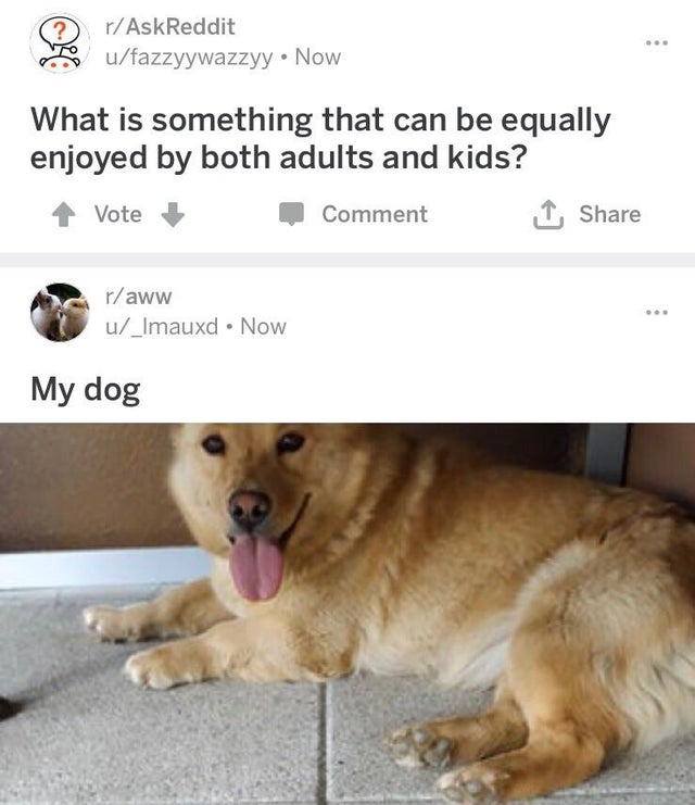 photo caption - rAskReddit ufazzyywazzyy. Now What is something that can be equally enjoyed by both adults and kids? Vote Comment raww u_Imauxd Now My dog