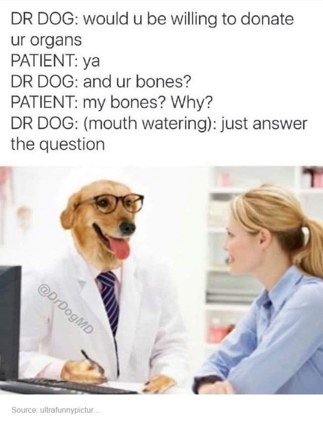 dog doctor meme - Dr Dog would u be willing to donate ur organs Patient ya Dr Dog and ur bones? Patient my bones? Why? Dr Dog mouth watering just answer the question Source ultrafunnypictur.