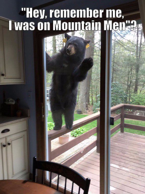 A bear from Mountain Men