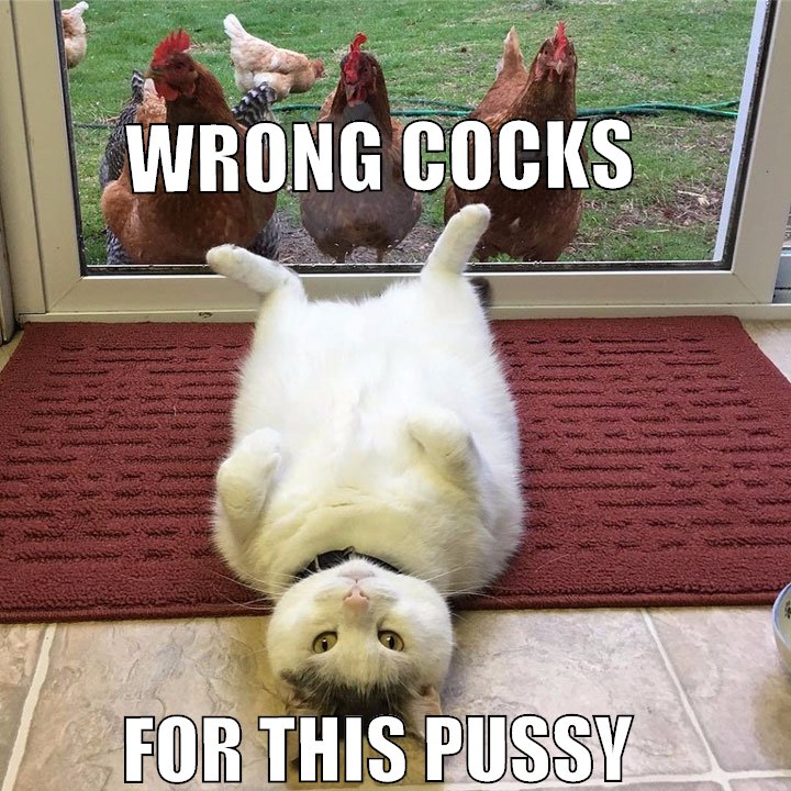 WRONG COCKS FOR THIS PUSSY