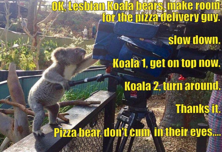 Koala Porn