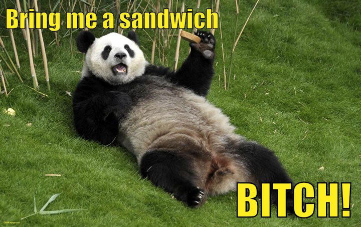 Hungry Panda