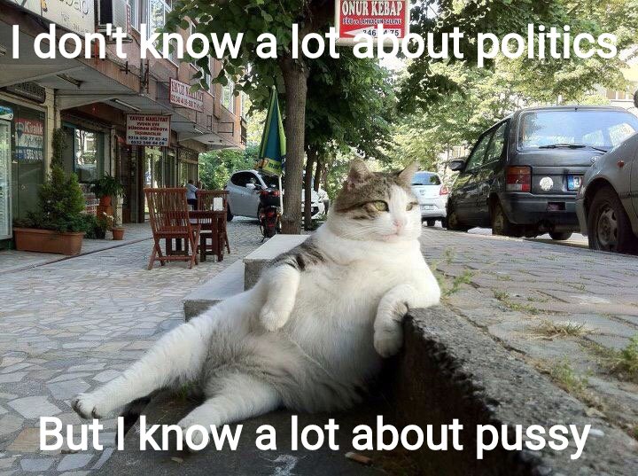 Political pussy