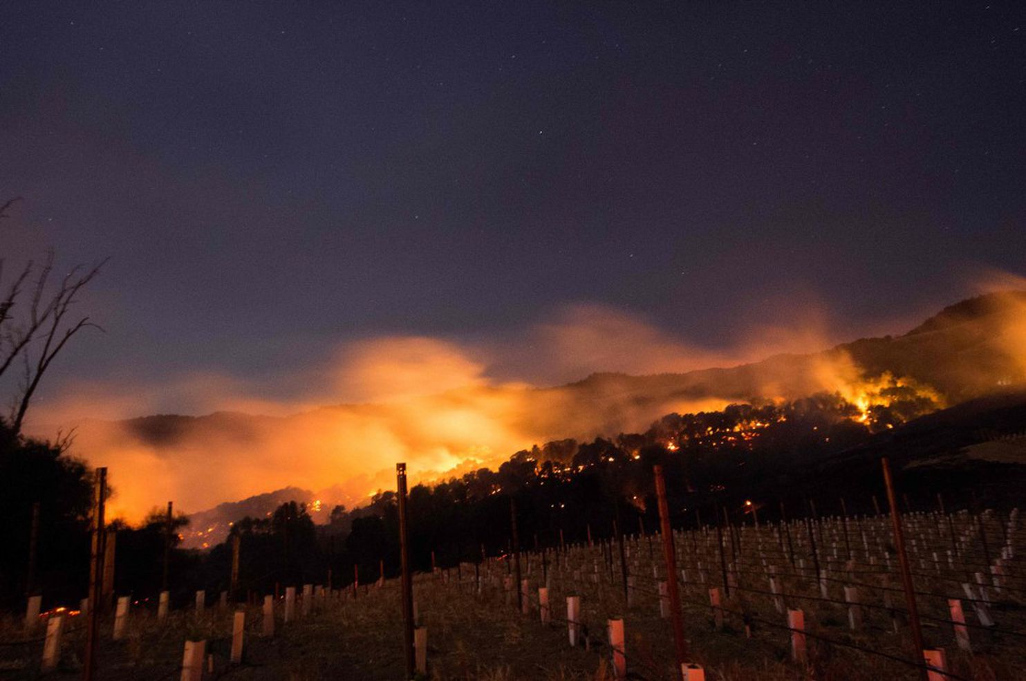 California Wine Country Fires.