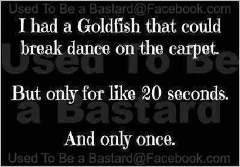 random pic goldfish breakdance - Used To Be a Bastard.com I had a Goldfish that could break dance on the carpet. But only for 20 seconds. And only once. Used To Be a Bastard.com