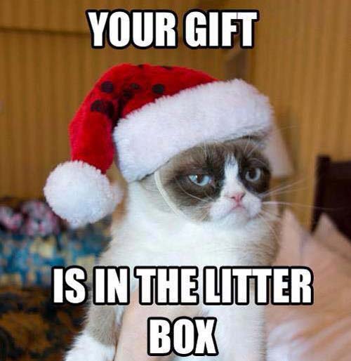 random pic merry christmas funny memes - Your Gift Is In The Litter Box