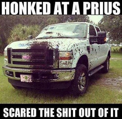 honked at a prius - Honked At A Prius Scared The Shit Out Of It