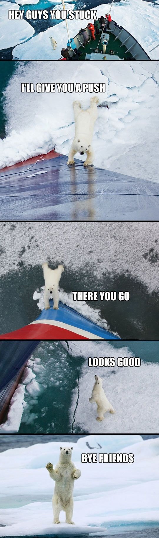 very cute and wholesome meme of a bear pushing up against the hull of a large ship with caption to make it seem like he is rescuing them off the ice and then saying bye