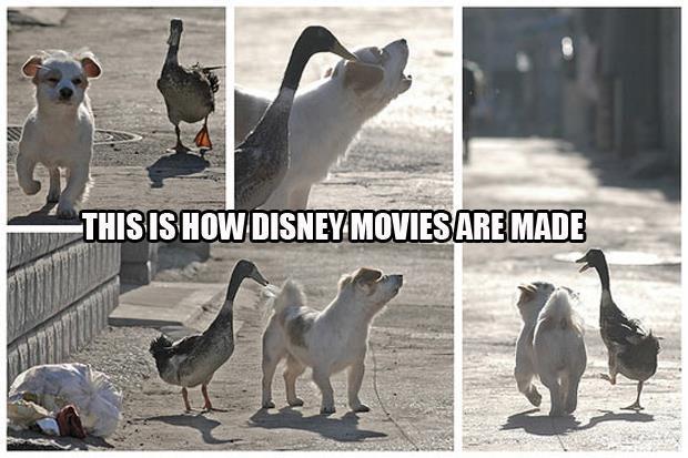 friends motivational poster - This Is How Disney Movies Are Made