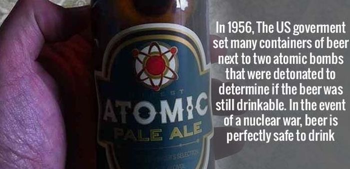 fun fact about beer being able to survive nuclear fallout