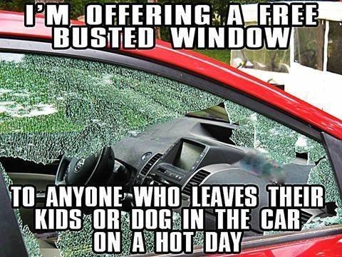 random pic windshield - I'M Offering A Free Busted Window ToAnyone Who Leaves Their Kids Or Dog In The Car Ke On A Hot Day