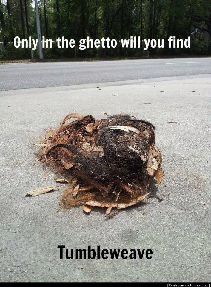 ghetto meme - Only in the ghetto will you find Tumbleweave ControversialHumor.com