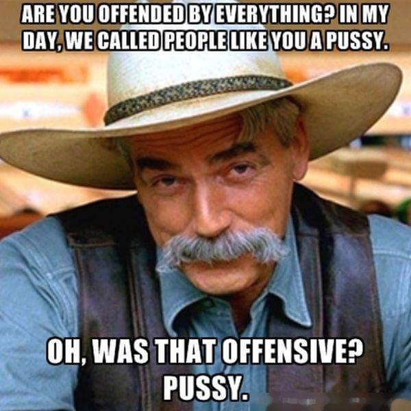 memes to offend everyone - Are You Offended By Everythingp In My Day, We Called People You A Pussy. Oh, Was That Offensive? Pussy.