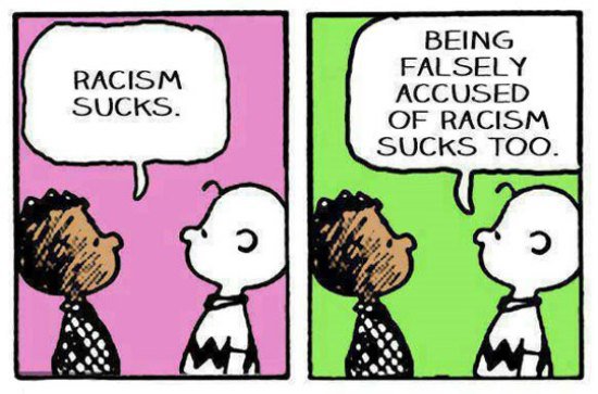 charlie brown racism sucks - Racism Sucks. Being Falsely Accused Of Racism Sucks Too.